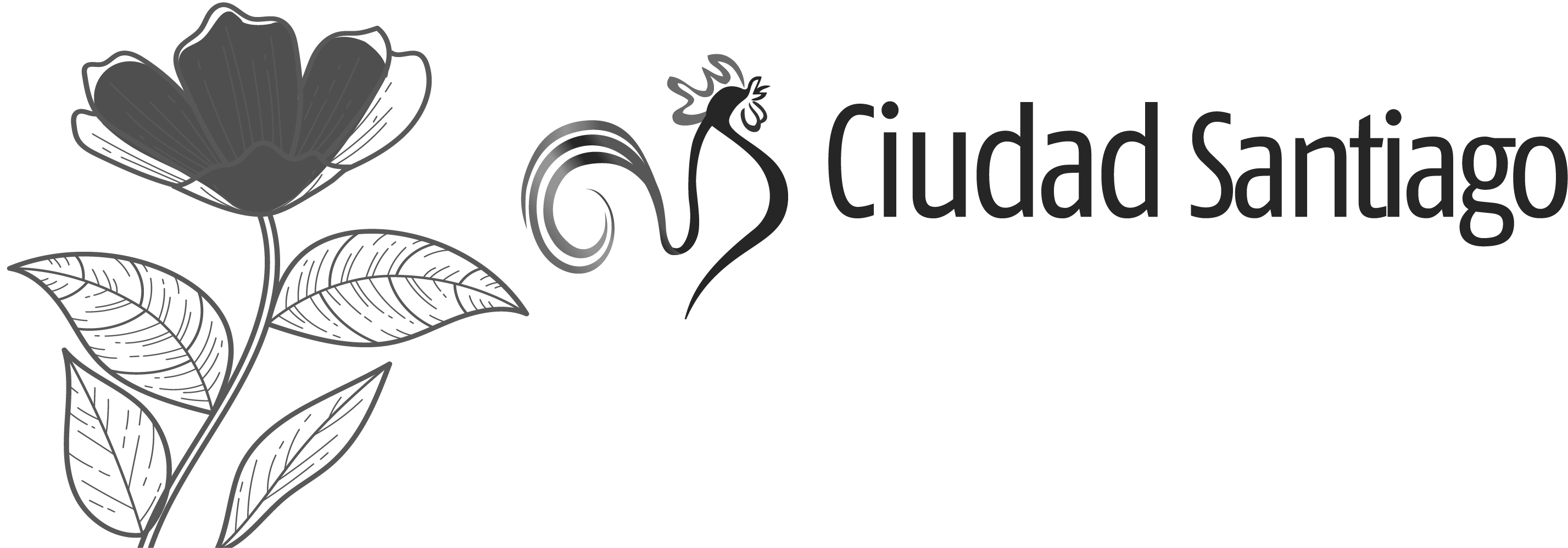 Cliente: ciudad santiago