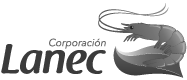 Cliente: corporacion lanec