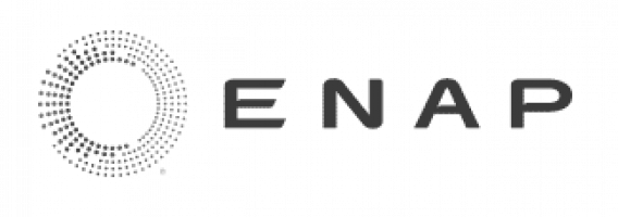 Cliente: logo_enap3